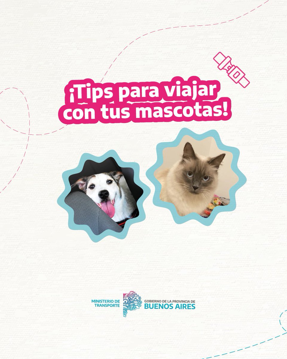 Ministerio de Transporte tweet media