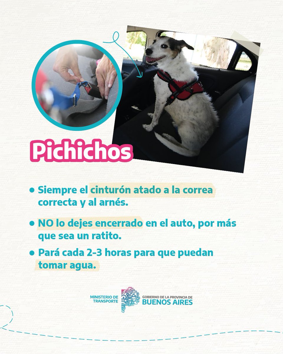 Ministerio de Transporte tweet media