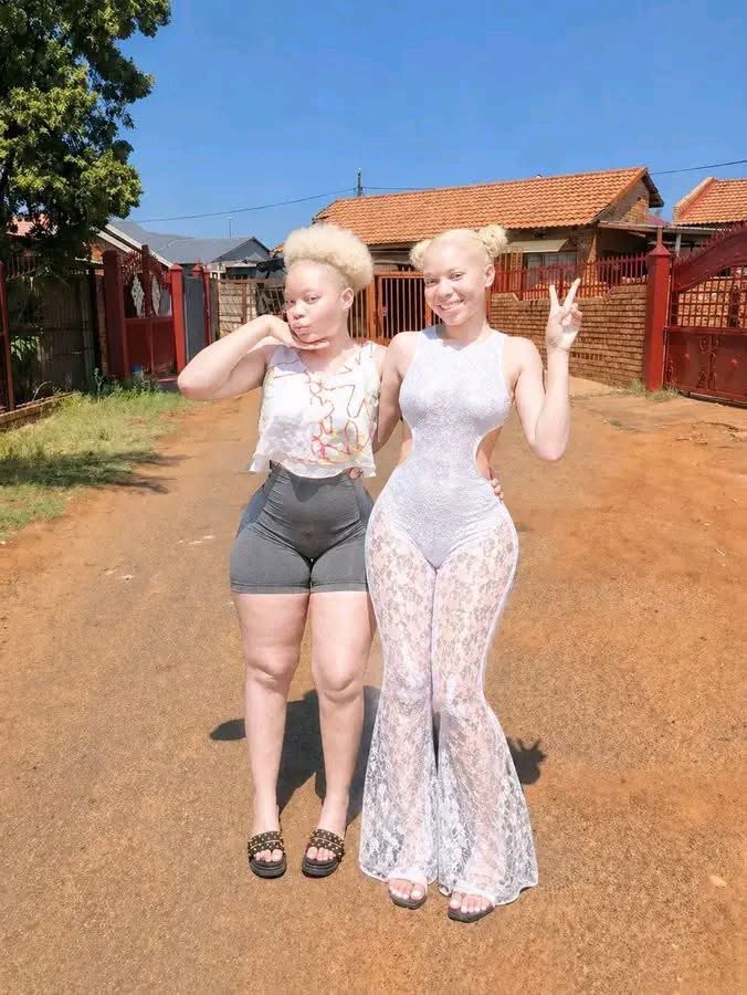 NgiyaphaphaDaily🇿🇦 tweet media