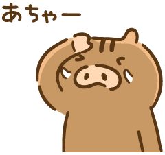 Tomoch tweet media