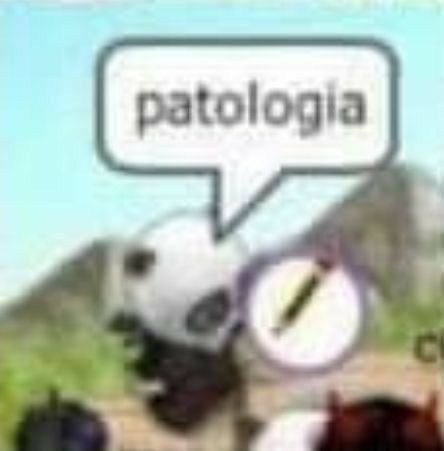 byłam dziś z 8h w bibliotece co daje jakieś 6-7 (nieironicznie) godzin nauki