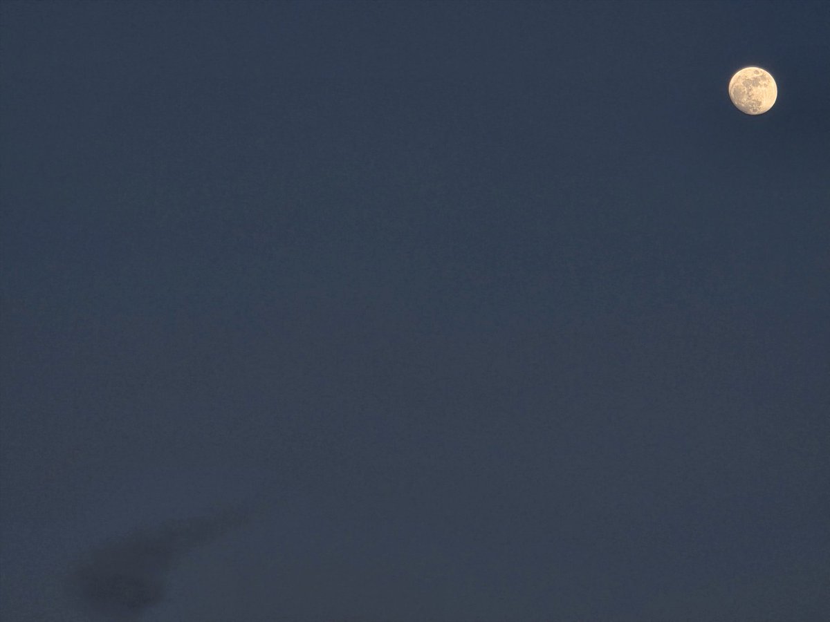 KaeLisHus's tweet image. Bir akşam...

 #ay #moon #istanbul #s25ultra