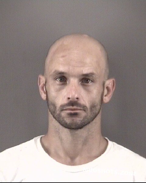 CHARKIE🐾 tweet media