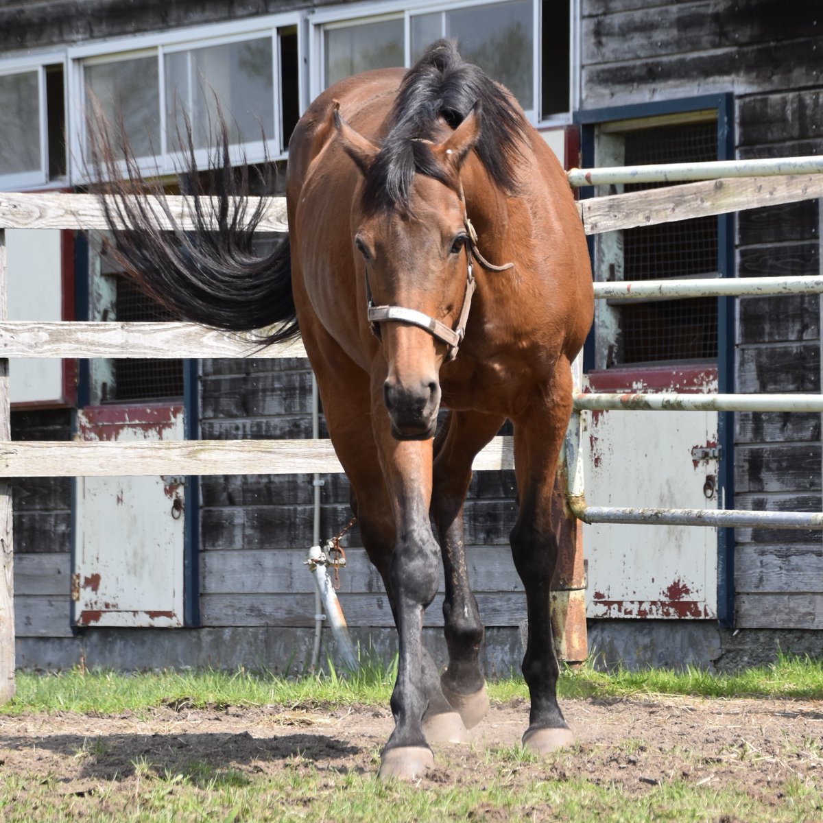 ちひろ tweet media