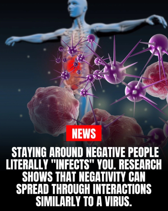 Neuron Powers 🧠 tweet media