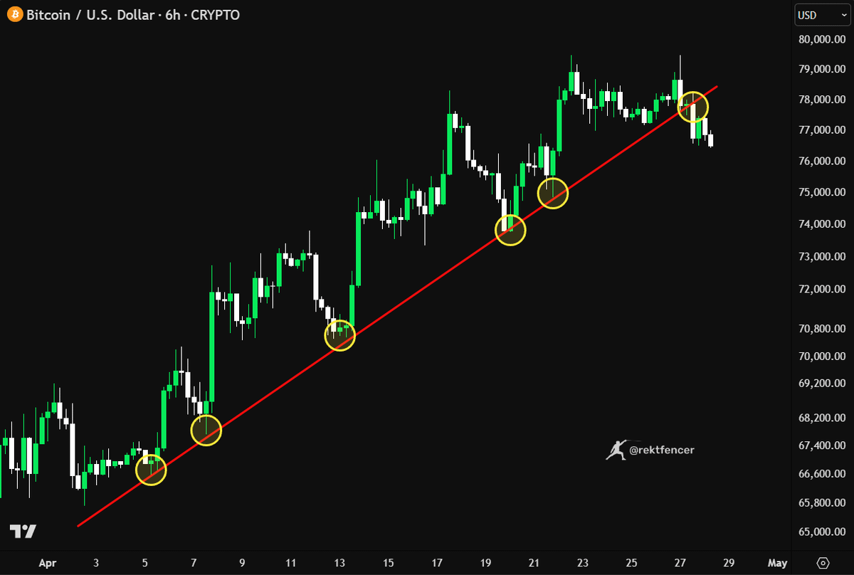 Rekt Fencer tweet media