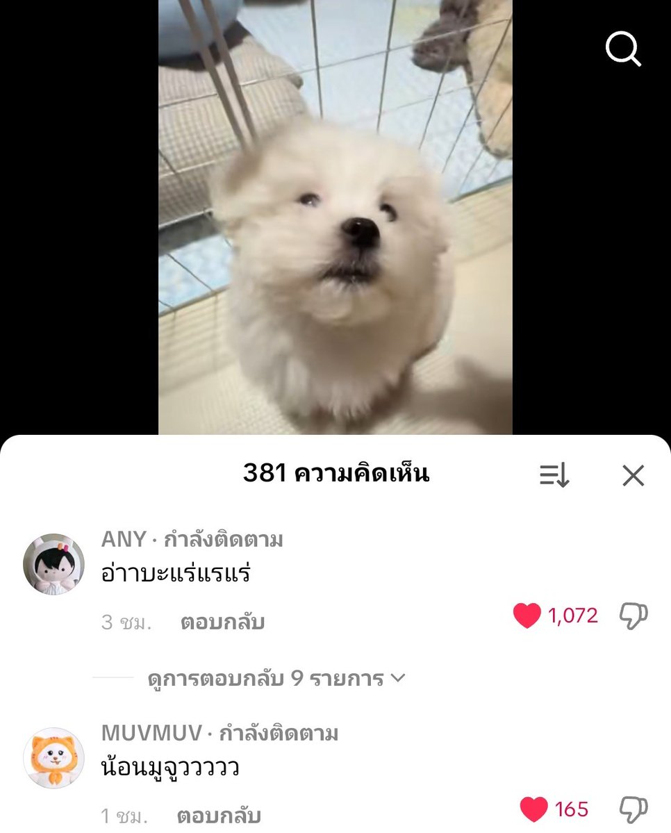 ประหยัดแบต | ชาช่าจะปิดแอคแม่😔 tweet media