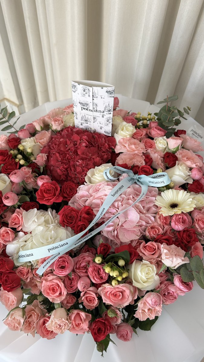 Poinciana|بونسيانا tweet media