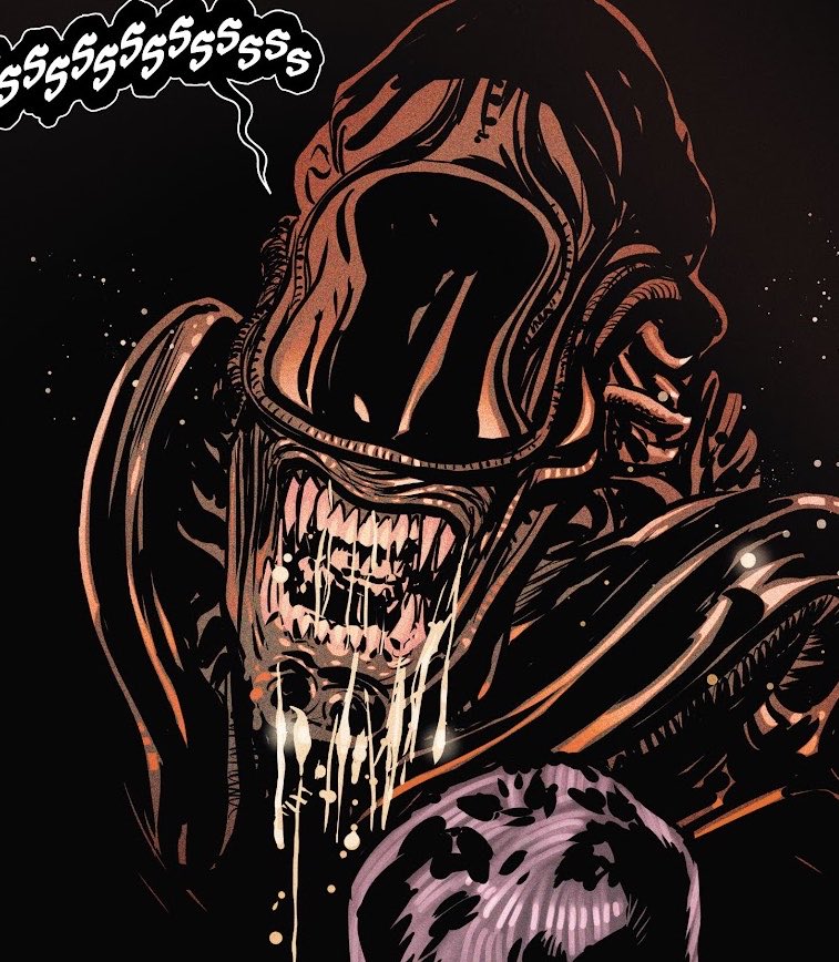 ᅠ ‎ ᅠ ‎ᅠ ‎ 𝐗 𝐄 𝐍 𝐎 𝐌 𝐎 𝐑 𝐏 𝐇 ‎ᅠᅠ ‎ ᅠ ‎ᅠ tweet media