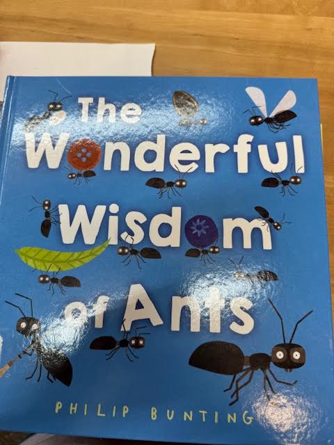 ICSMilwaukee's tweet photo. Second graders explored the sacred gift of Wisdom this month by reading "The Wisdom of Ants" in the library. Then they brought their learning to life in the Makerspace, designing and creating their very own ants! #ICSEagles https://t.co/2Ku90ugdJu