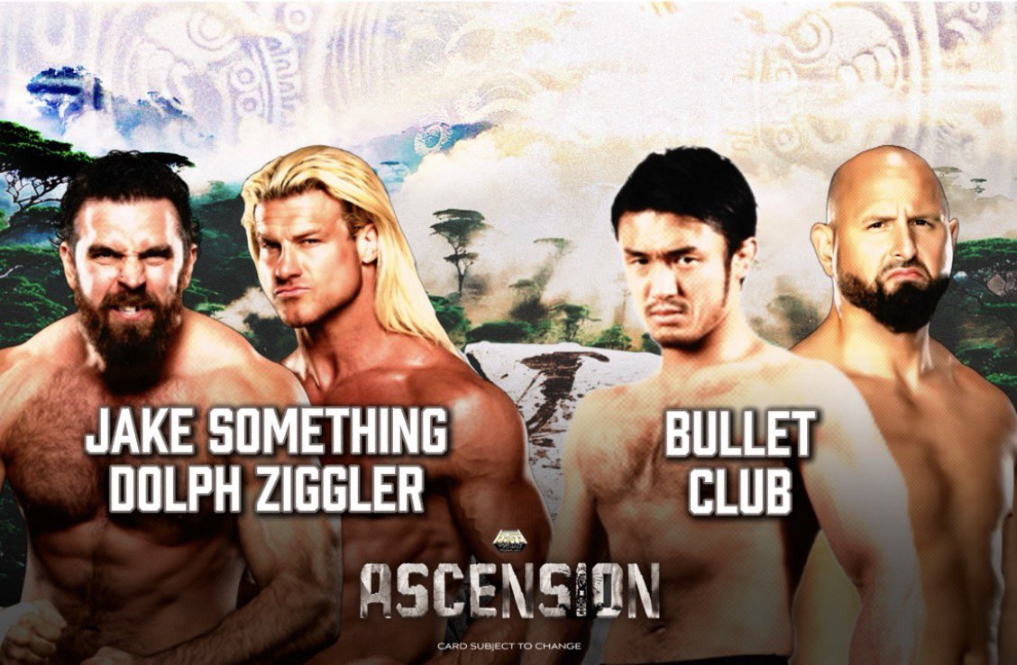Elite Wrestling Federation tweet media