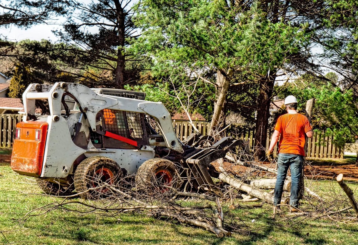 battistetrees's tweet image. Overgrown or damaged trees? That’s more than just an eyesore—it’s a hazard.

From expert trimming to safe removals, Battiste Tree Service delivers professional care backed by years of experience and a reputation for reliability.

👉 battistetree.com

#TreeRemoval