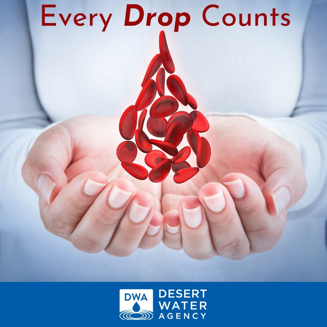DWAwater's tweet image. Save lives! ♥️ Donate blood on Wednesday, May 6, at the DWA office, located at 1200 S. Gene Autry Trail in Palm Springs. Schedule an appointment between 9 a.m. - 2 p.m. at dwa.org/blooddrive. Walk-ups are welcome!
#BloodDrive #DesertWaterAgency  #PalmSprings #CathedralCity