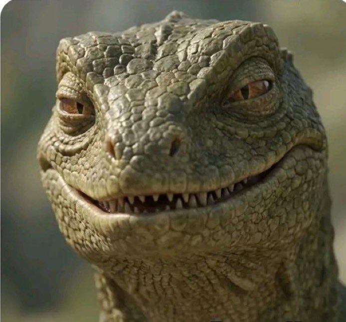 🦧 tweet media