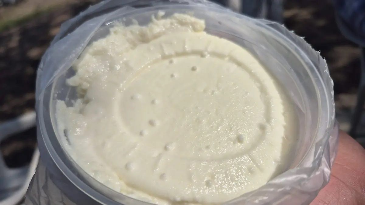 eDairyNewsEs's tweet image. #Turismo #rural: granja 4R gana protagonismo. Lea la Noticia 👉  buff.ly/d4X1SXv