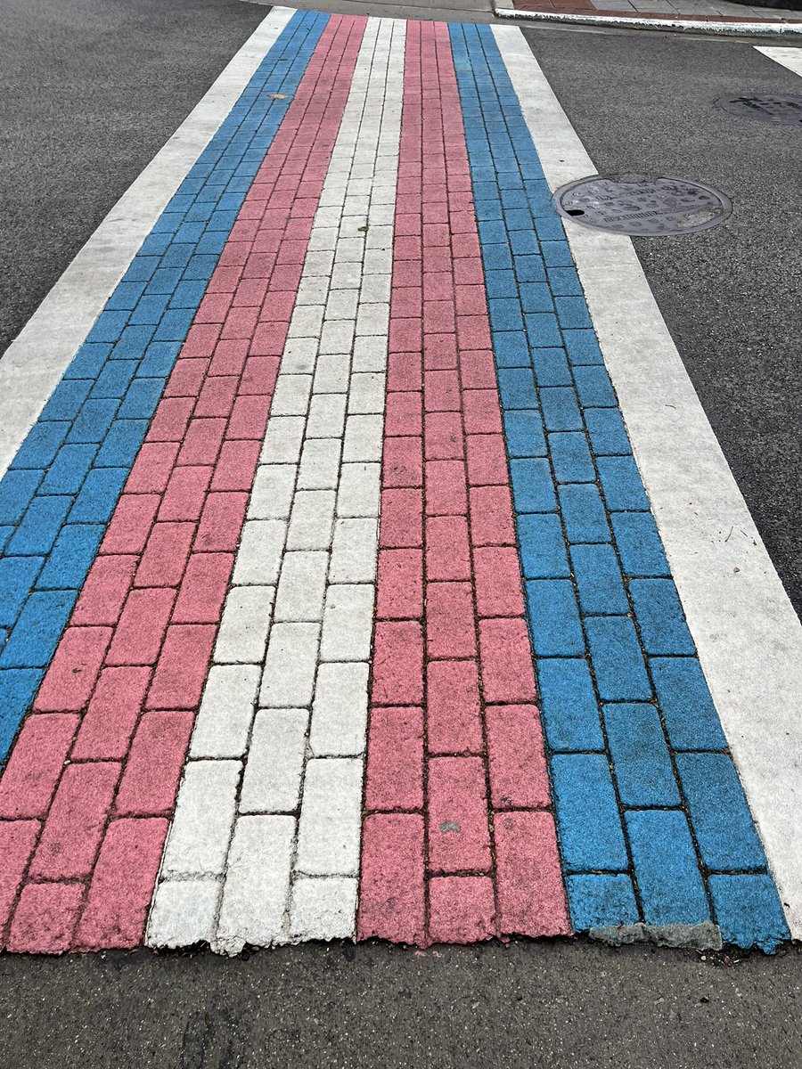 AMITY💚🏳️‍⚧️ tweet media