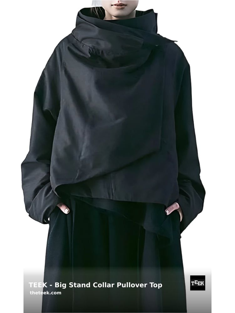 theTEEKdotcom's tweet image. TEEK - Big Stand Collar Pullover Top
theteek.com/products/teek-….
.
 #shop #loveyourself #trending