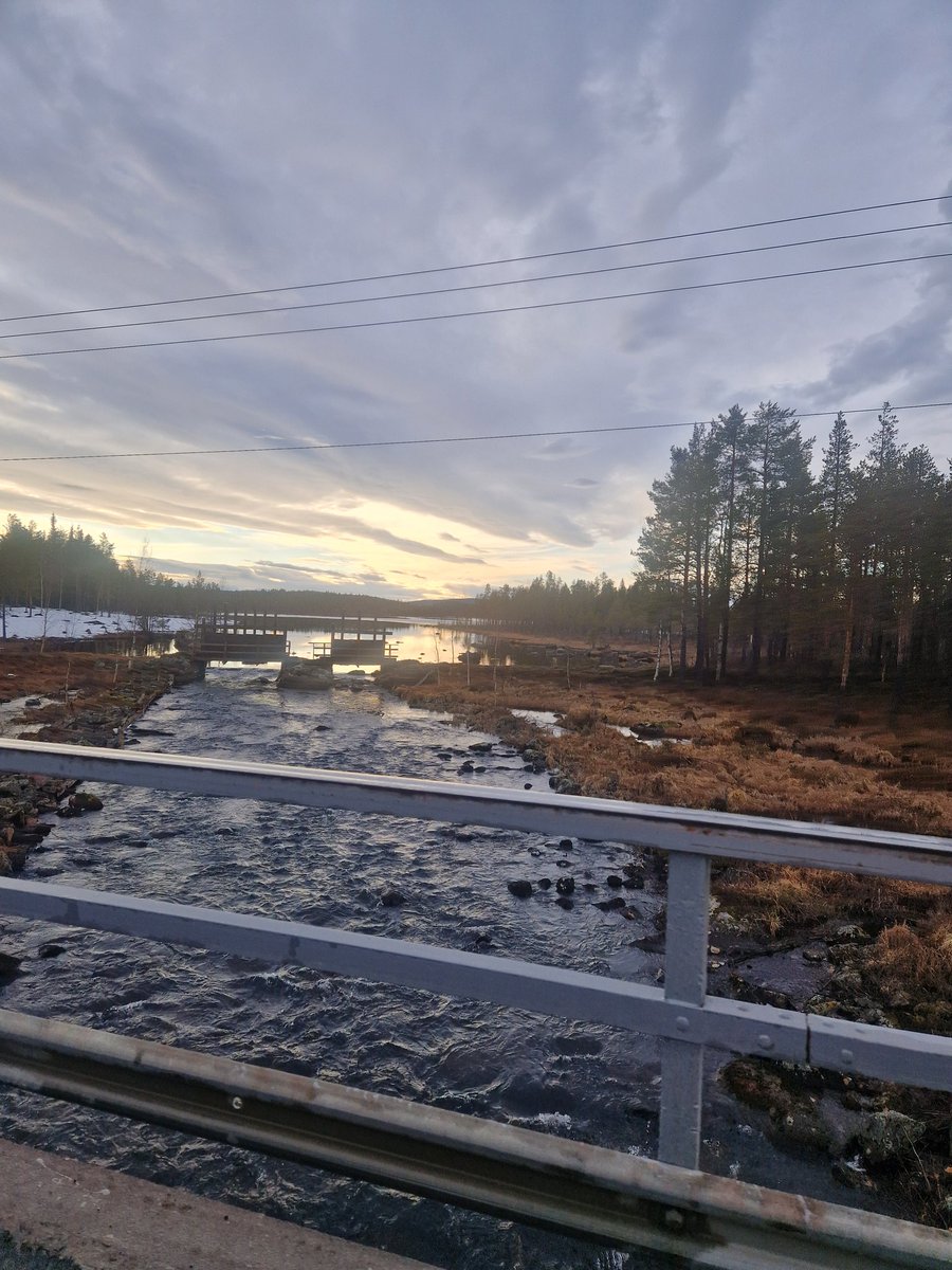 🔥Norrbotten🔥 tweet media
