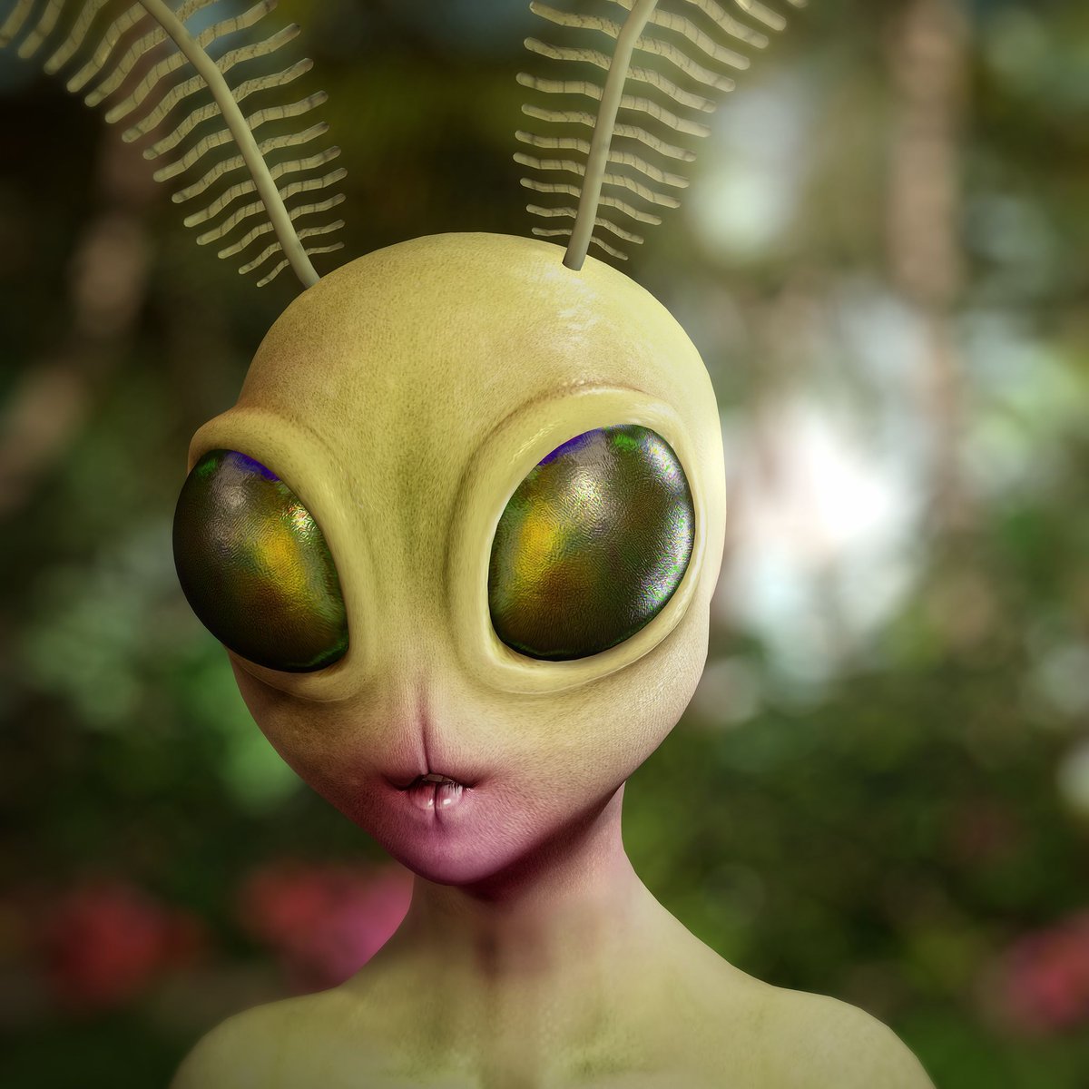 BeSpoke Caravan tweet media