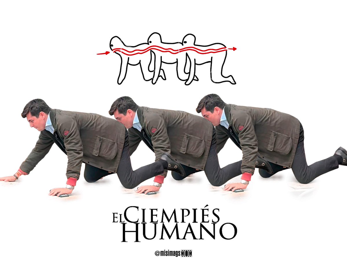 MISIMAGS tweet media