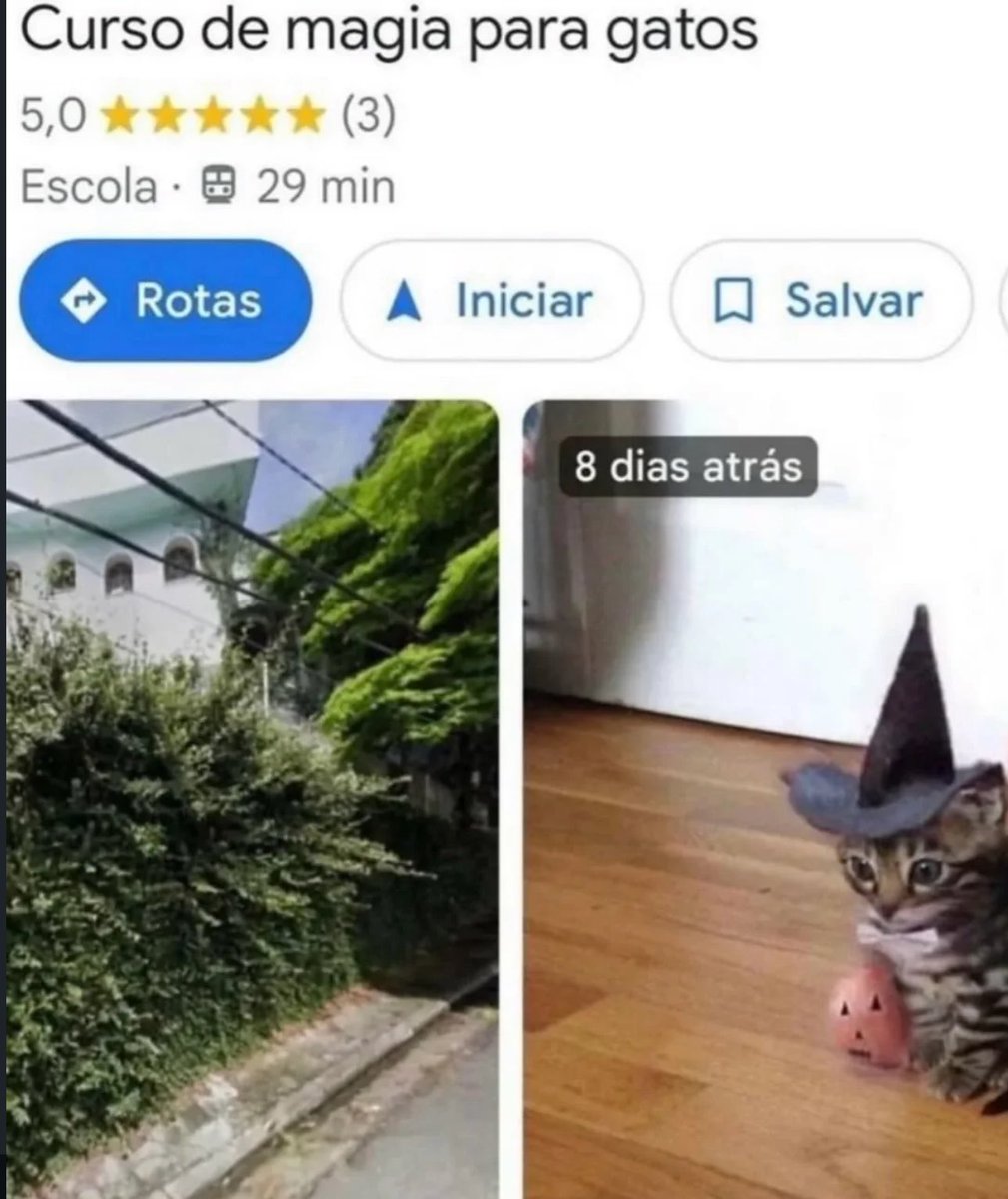 shitpostverdade's tweet photo. https://t.co/CDE5a1PkEn