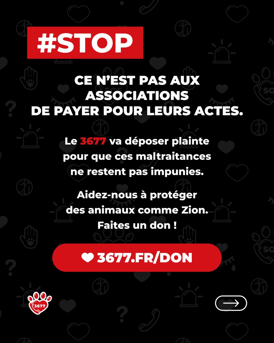 SOS Maltraitance Animale tweet media