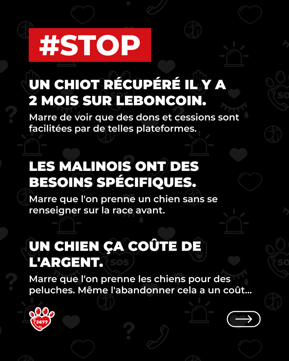 SOS Maltraitance Animale tweet media