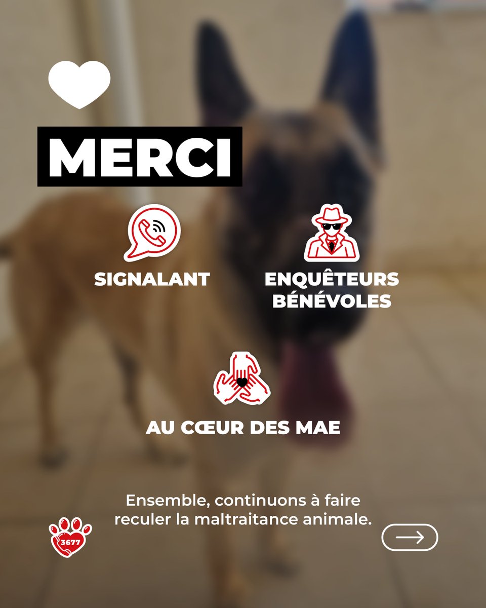 SOS Maltraitance Animale tweet media