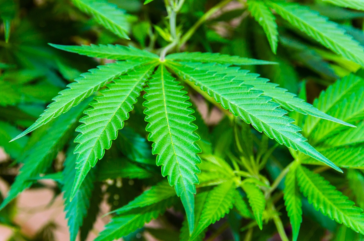 natlawreview's tweet image. Will the #Marijuana Industry’s Access to #Banking and Capital #Markets Expand with Rescheduling? natlawreview.com/article/will-m… @bradleylegal