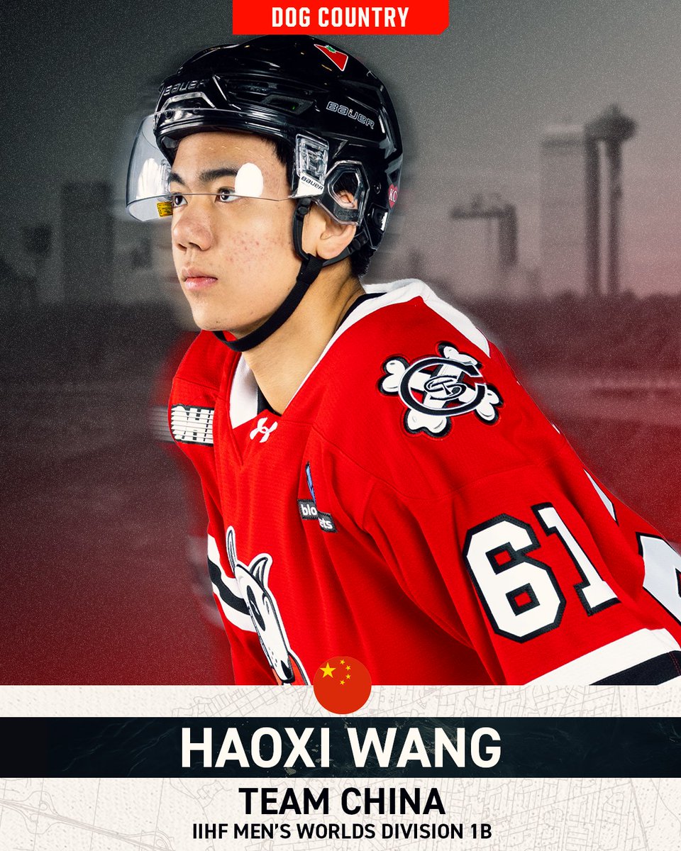 Niagara IceDogs tweet media