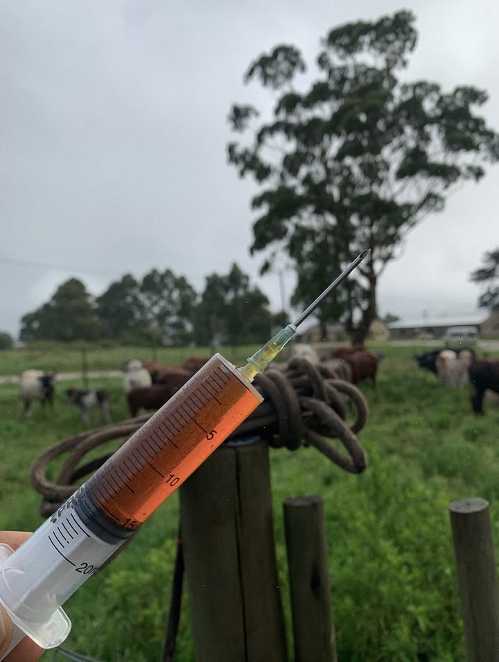 Abdikadir tweet media