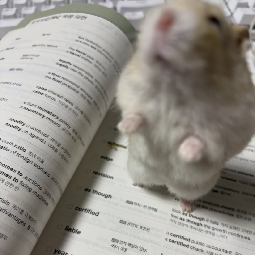 hamster tweet media