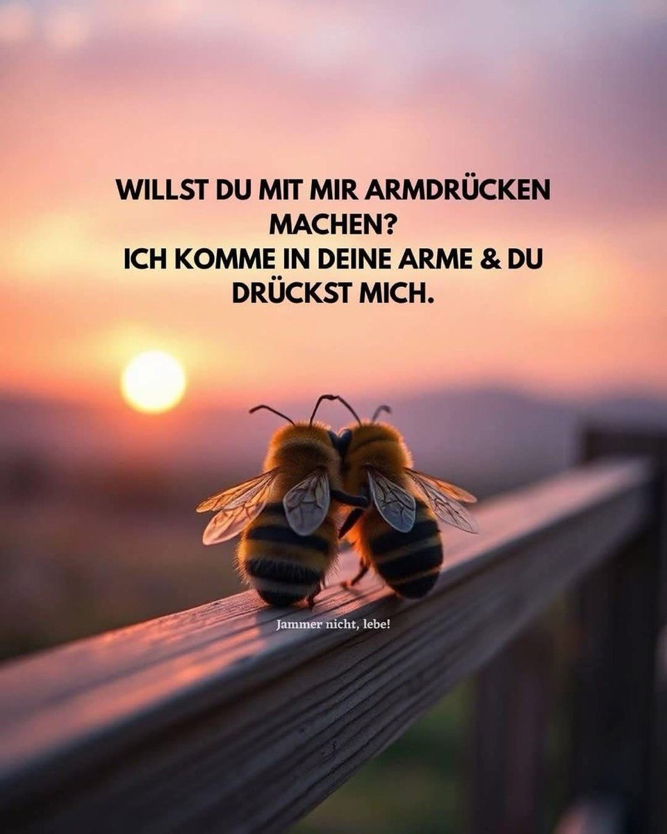 Elke C 🇩🇪 tweet media