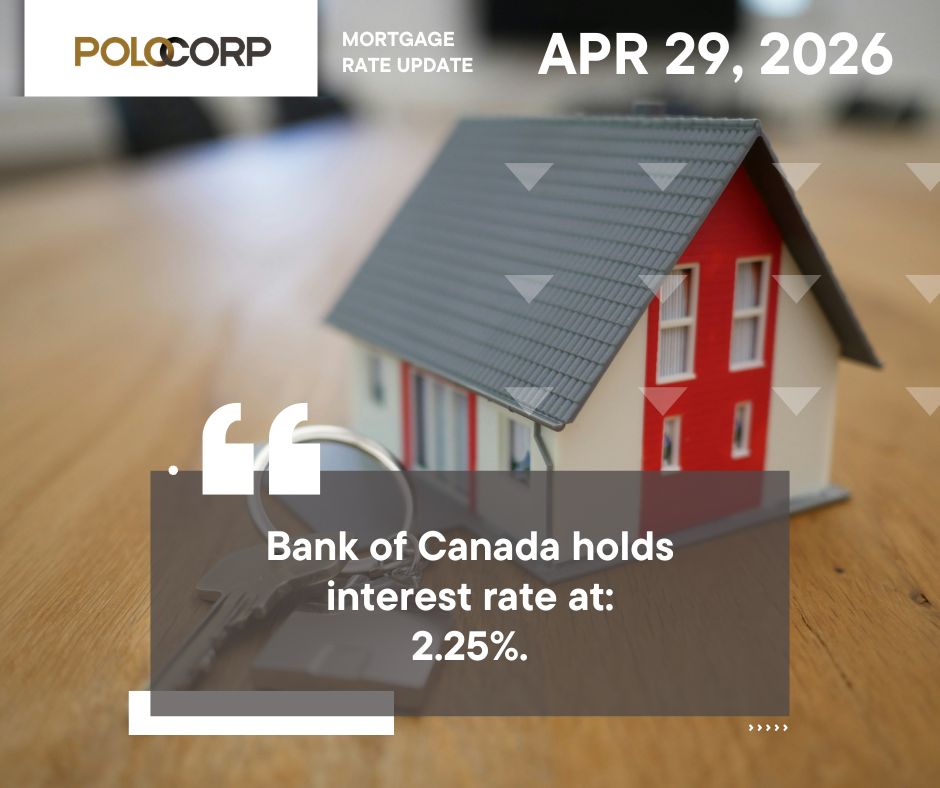 Polocorp tweet media
