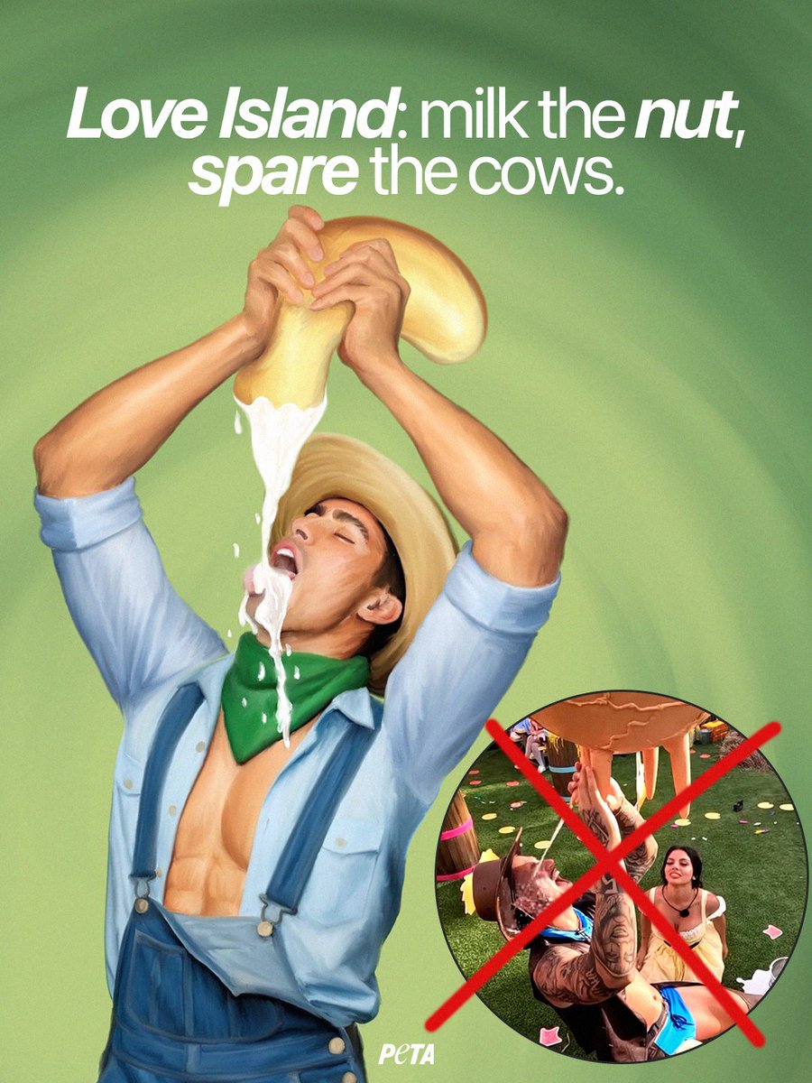 PETA tweet media