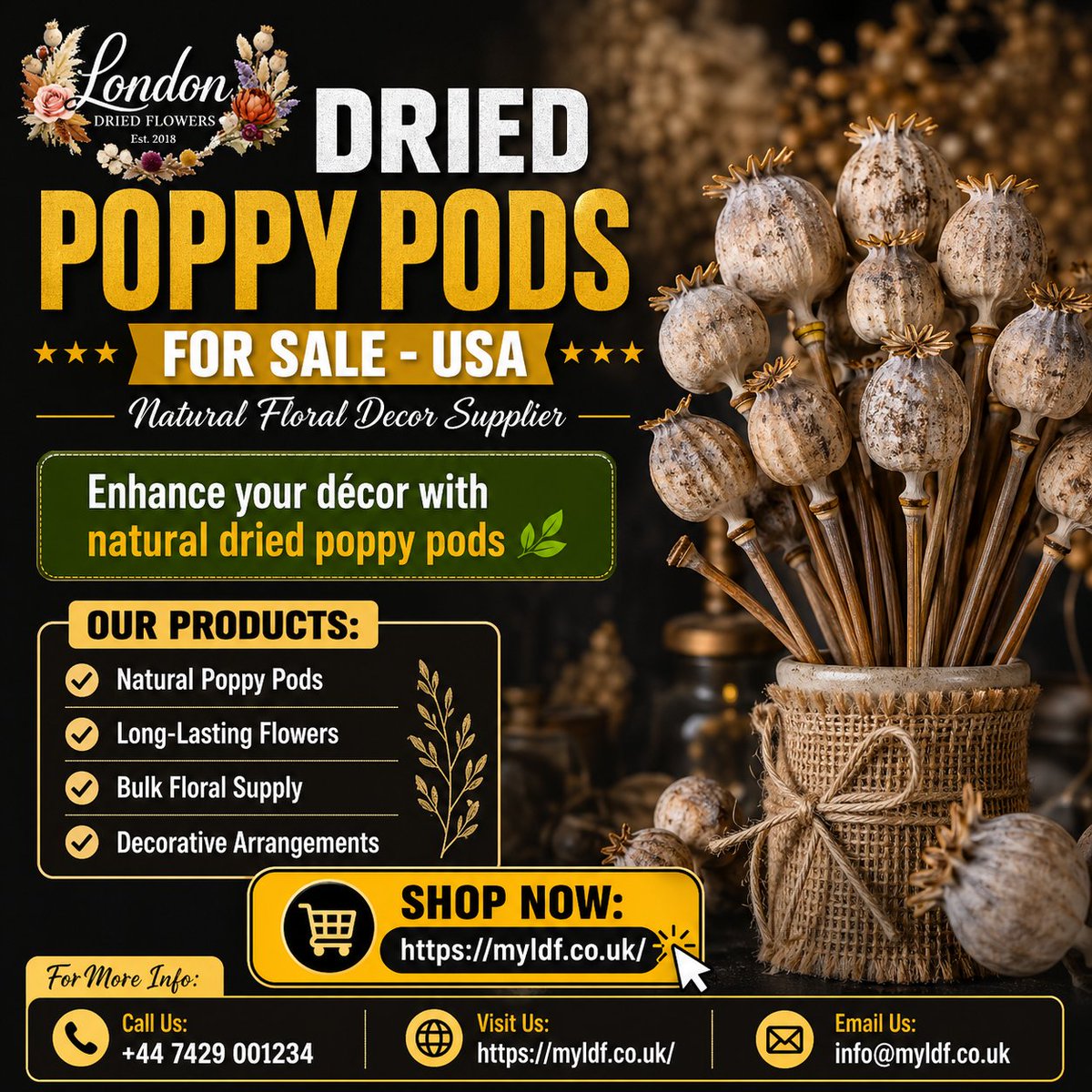myldf_official's tweet image. Enhance your décor with natural dried poppy pods 🌿

For More Info.
Call Us: +44 7429 001234
Email Us: info@myldf.co.uk

#PoppyPods, #DriedPoppy, #FloralDesign, #DIYDecor, #HomeDecorIdeas, #BohoStyle, #CreativeDecor, #RusticStyle, #FlowerWholesale, #InteriorStyling, #MyLDF