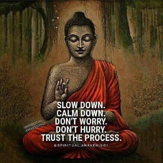 Mindset insider 🌟 tweet media