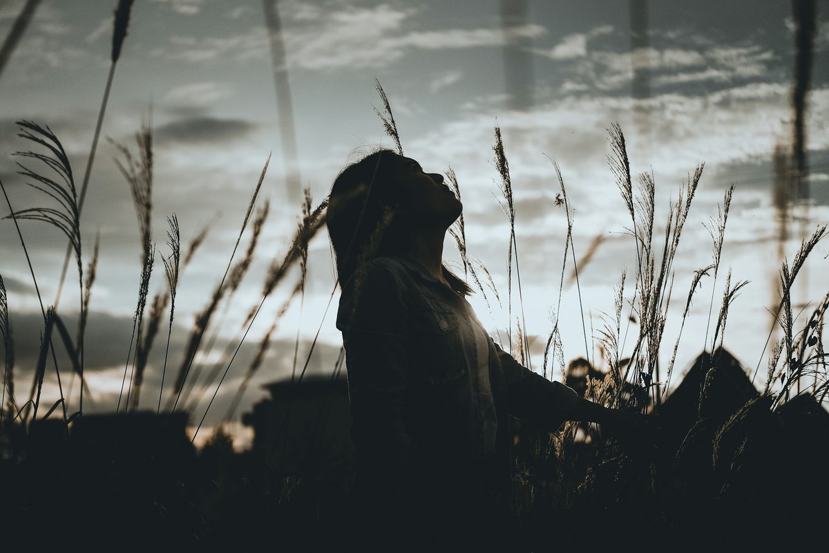 What is a bloodless sacrifice? It can take many forms. From a sacrifice of praise when we don't feel like praising God, to living a life of humility, to being a servant leader. This is what followers of Jesus are called to.
tripkimball.com/home/a-bloodle… <a href="/tkbeyond/">Trip Kimball</a> <a href="/WordStrong2Tim2/">Word-Strong</a>