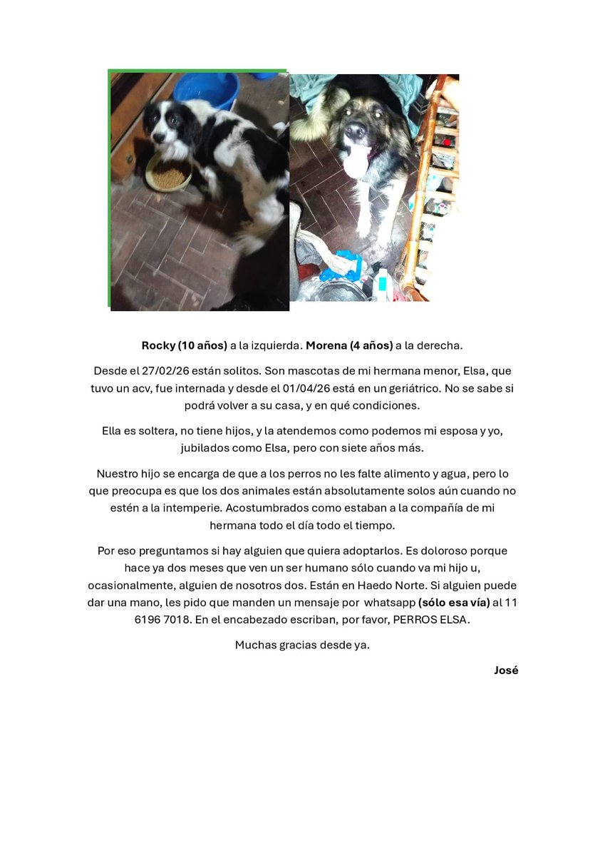 Por favor ,compañeros/as: a ver si podemos darle una mano a José María <a href="/jmg_lcup/">Jose Maria Gonzalez</a> que sue hermana ha sufrido un ACV y han quedado solitas sus mascotas.
Se agradece difusión🙏🏼