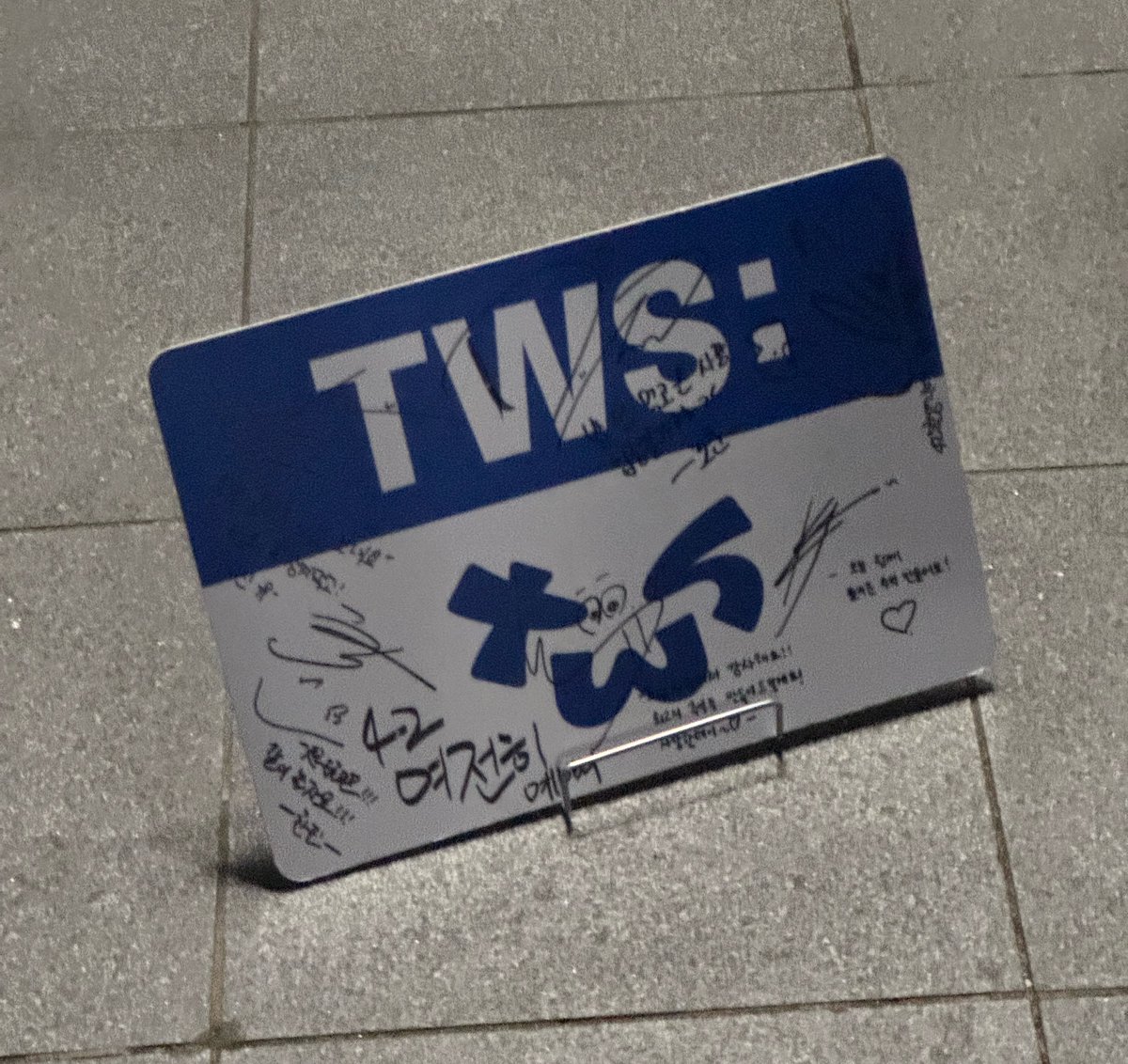 핑 tweet media