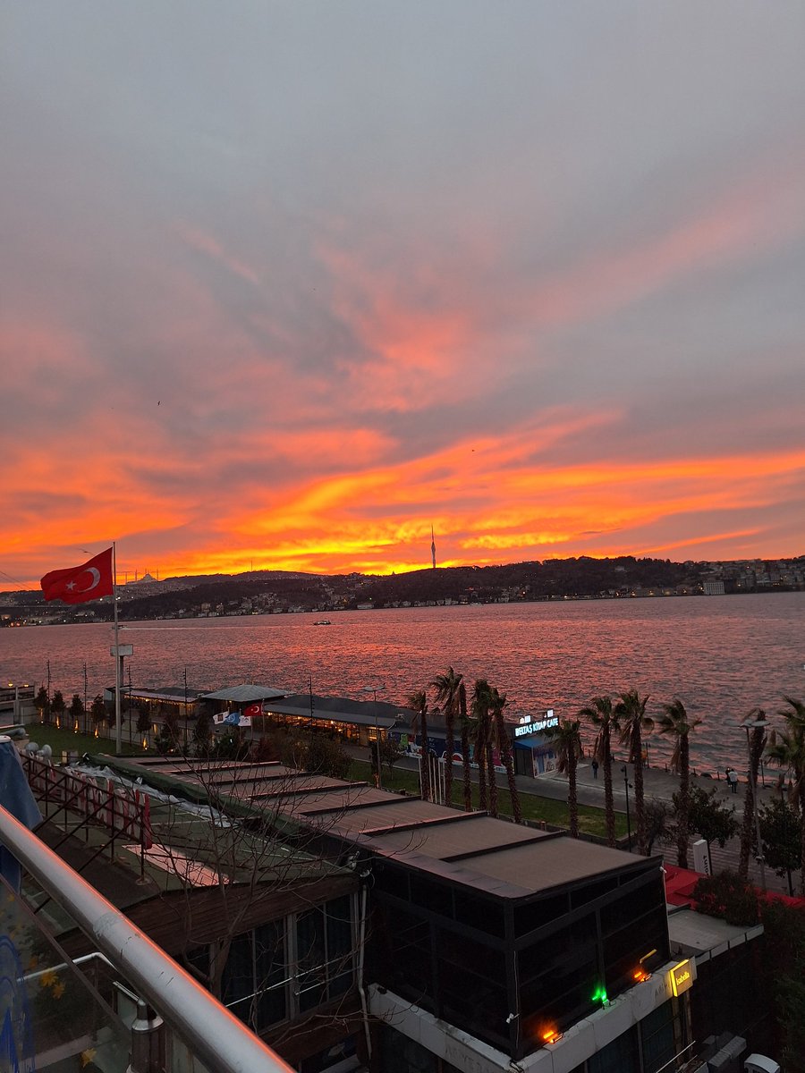 LinkedIn Canavarı tweet media