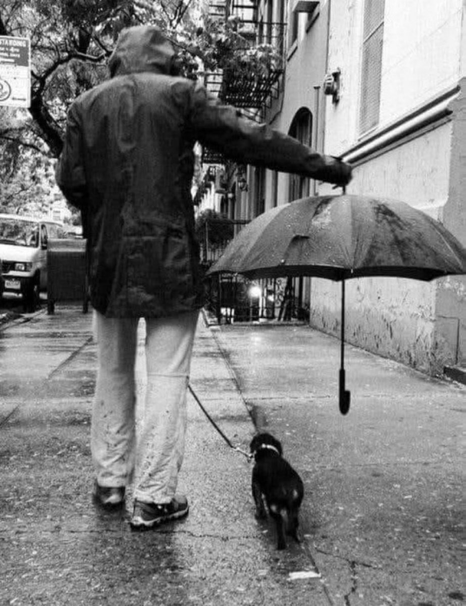 JamesMartirq7p's tweet image. “Every small, unselfish action nudges the world into a better path." ~Robin Hobb