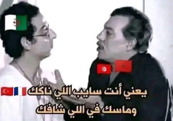 ₕₐₘᵢdᵢ ᵣₐₘzy📌 tweet media