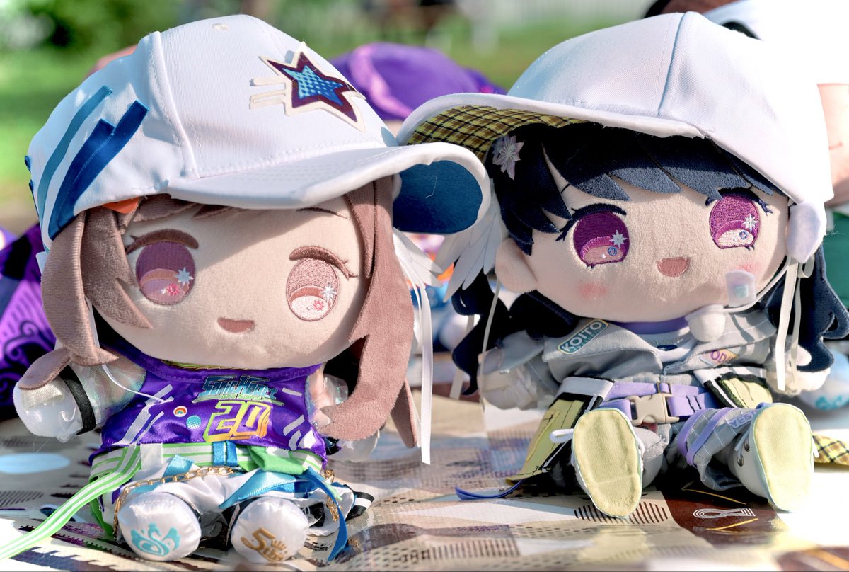 シャノン tweet media