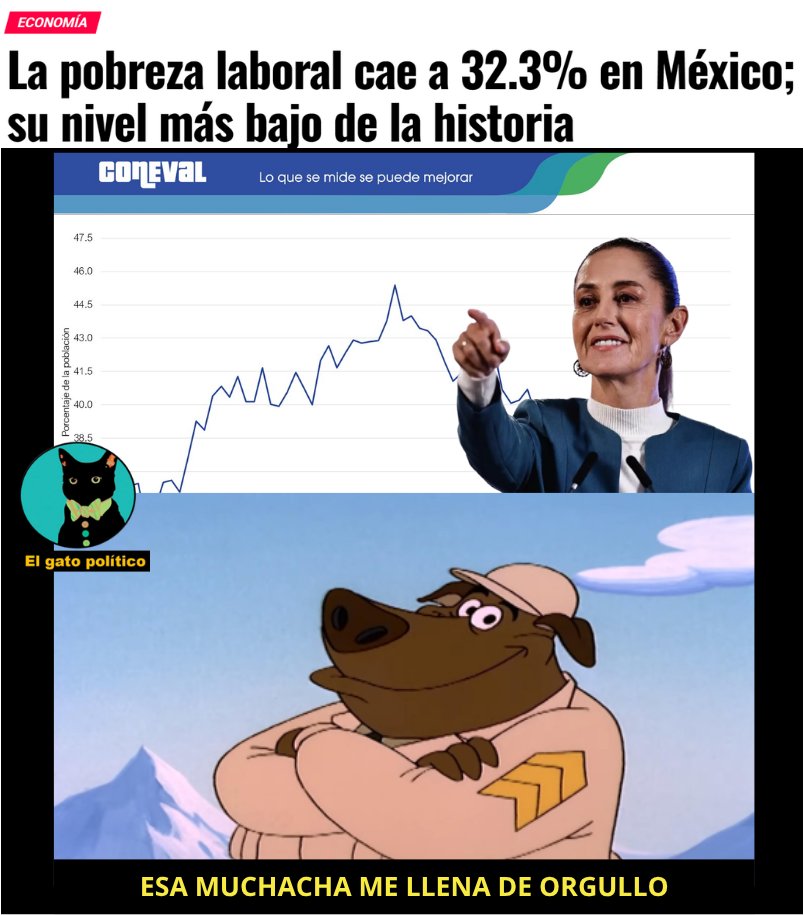 El gato político tweet media