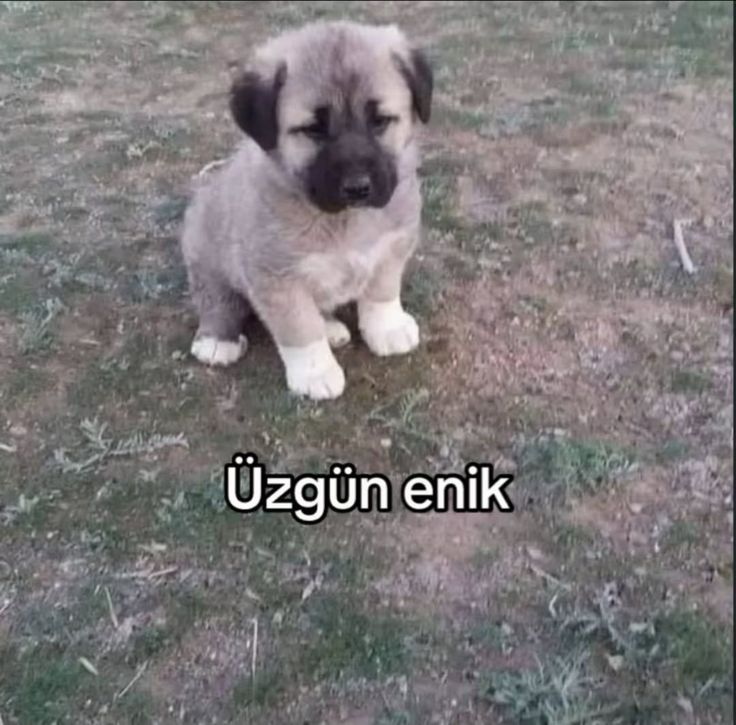 ismail🇹🇷 tweet media