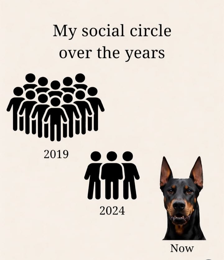 Tirânica isentona inconveniente vítima INSS👽 🇺🇦 tweet media