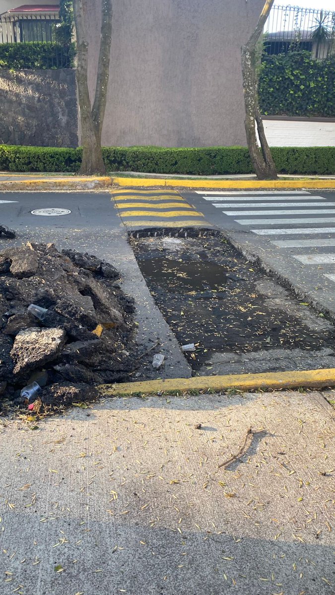 Fernanda Helguera tweet media