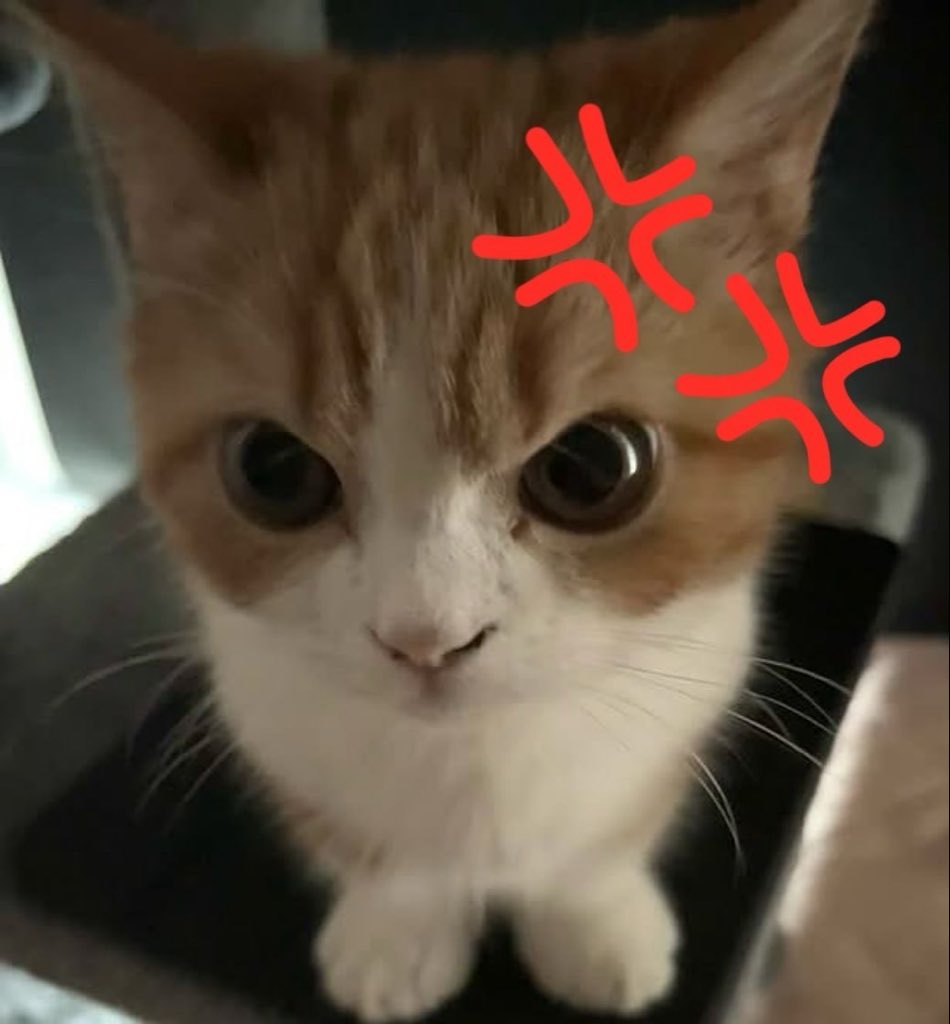 😾
