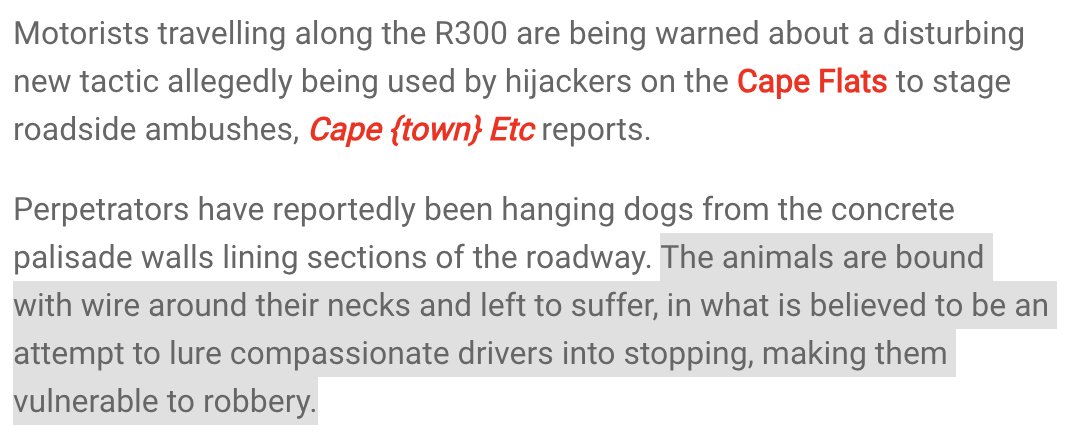 Roman Cabanac tweet media